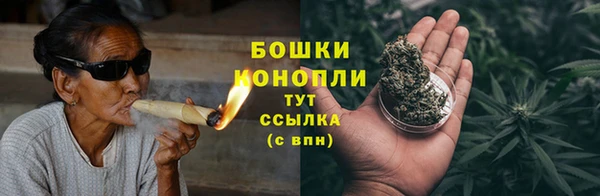 PSILOCYBIN Баксан