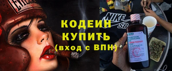 МДПВ Нея