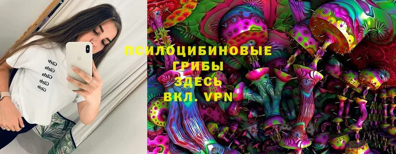 Галлюциногенные грибы Cubensis  Бикин 